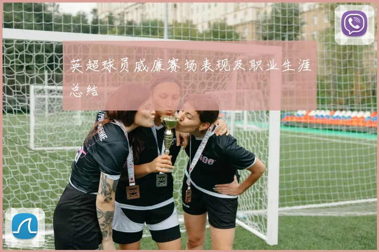 英超球员威廉赛场表现及职业生涯总结