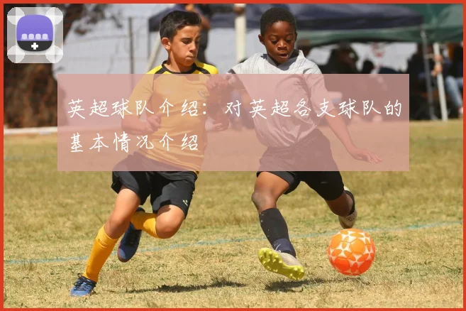 英超球队介绍：对英超各支球队的基本情况介绍