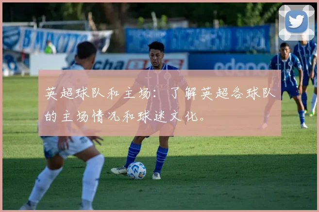 英超球队和主场：了解英超各球队的主场情况和球迷文化。