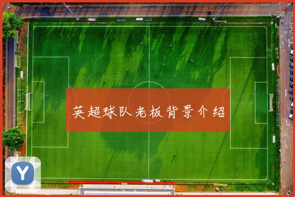 英超球队老板背景介绍