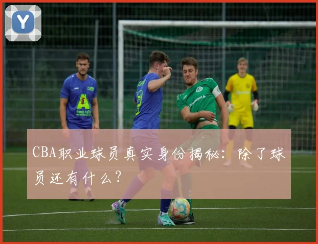 CBA职业球员真实身份揭秘：除了球员还有什么？