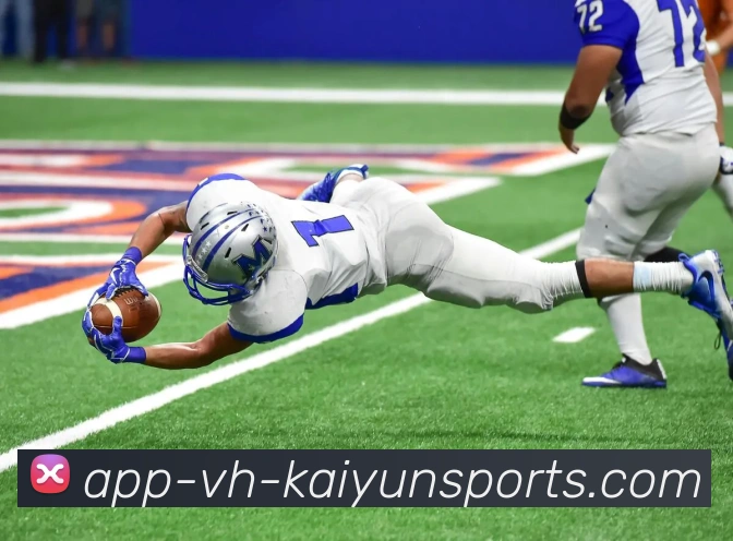 开云app服务体系